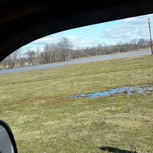 Meet your Posher, Thomas